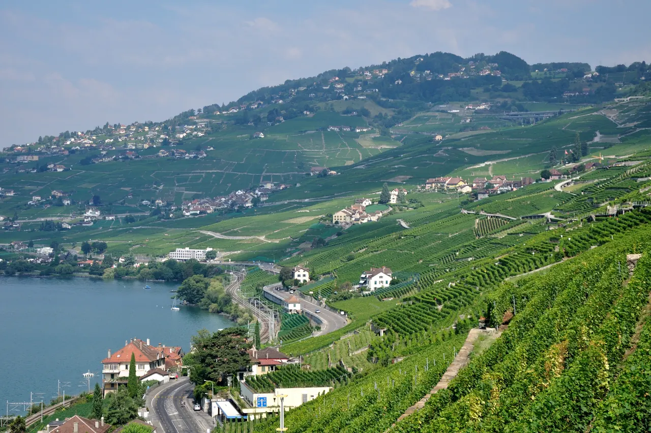 Terrasses viticoles de Lavaux descendant jusqu’au lac Léman, avec des villages sur la pente
