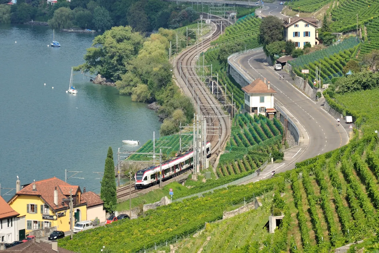 Maison jaune au milieu des vignes d’Épesses, au bord du lac, avec la voie ferrée
