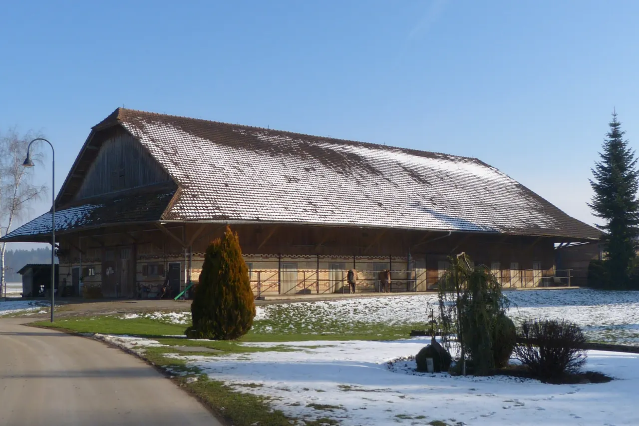 Grange suisse à large toiture, sous la neige, avec un sapin