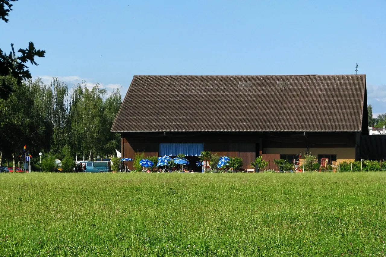 Grande toiture sombre d’un bâtiment agricole suisse, au milieu d’un pré