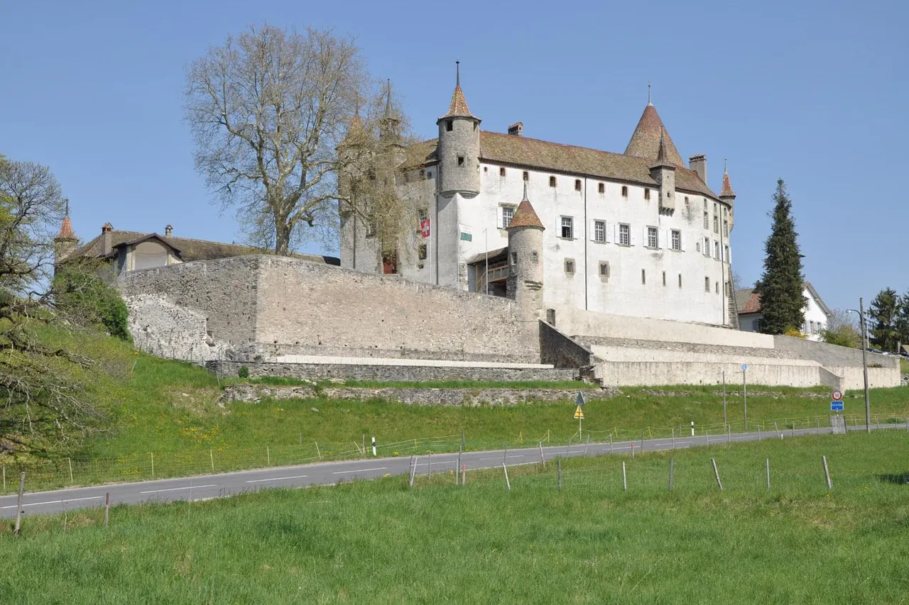 Le château d’Oron et ses toitures, sur une hauteur verte