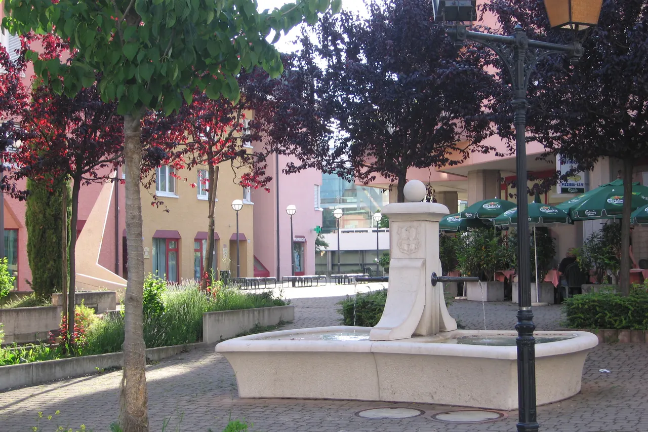 Le centre de Paudex : fontaine, arbres et maisons colorées à toiture de tuiles